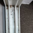 구평동-3 | 구미 원룸청소 구평동 미투 거주청소