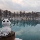 홋카이도 | 홋카이도 삿포로 여행 패키지 후기 &amp; 비에이 투어 코스