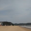 신지식육식당