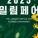게코다방 - 양산시 금오12길 64 | 게코다방