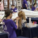 국제직업전문학원 이미지