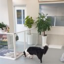 해피독쌤 이미지