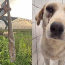 마땅농장 이미지