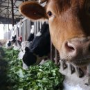 장안균농장 이미지