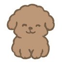 루루강아지 이미지