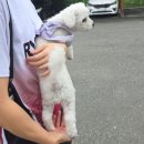 백제고등학교 | [출전후기] 제13회 무안 황토골양파배 배드민턴대회 / 백제고 / &#39;25.10.18(토)