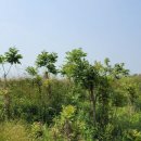 성산3리마을회관 이미지