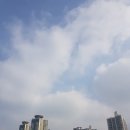 AIA 100주년 런더풀 페스티벌 10km 참가후기