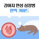송림동물병원 이미지