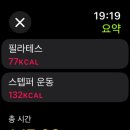 다이어트 건강요리(오전) | 필라이즈 AI 다이어트 50일 챌린지 3주차 후기 (현재까지 4kg 감량 ⤵)