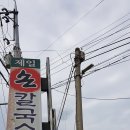 제일손칼국수 이미지