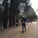 황령산유원지 생태숲 이미지