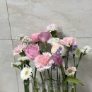 김해화원 이미지