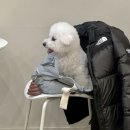 공차광주수완점 이미지