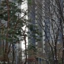 호계3동행정복지센터 | ● (지역구경) 안양시 호계3동 아파트 단지