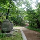 세정대왕 | 미스터법무의 사찰이야기 - 운악산 현등사