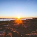 명랑쌀핫도그 이미지