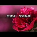 [정오뮤직광장] 모란동백 - 조영남 / 나훈아 이미지