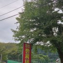 서울근교 가볼만한곳 방갈로 수영장 계곡 당일치기 백숙괜찮은 일영한씨네