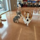 서초유치원 이미지