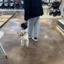 베이비하우스 부산동래 | 부산 동래 가성비 베이비 하우스