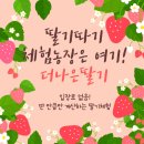 CW-2300-01 | 경기도 화성 딸기체험농장 추천｜입장료 없는 더나은딸기 솔직 후기