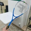 팡팡스쿼시