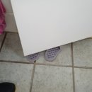 모아미래도아파트 앞 이미지