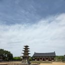 [아이와 부여 역사탐방] 정림사지 5층석탑_정림사지박물관_무료입장_관람 후기