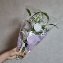 민들레레스카페 | w19. 알리익스프레스 드레스 대성공! 웨딩촬영 준비물 내돈내산 후기