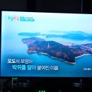K-1모터스 이미지