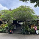 모텔 박스(MOTEL BOX) | 새벽 비행기 0.5박 가성비 숙소 메루다니 부티크 호텔 우붓 내돈내산 후기! (수영장, 조식박스 서비스 등)