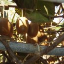 남해우리집 이미지