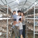 민규농장 이미지