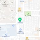 전주강아지분양 미니퍼피 가정견사 직영 이미지