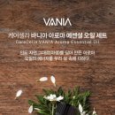 오일박사 이미지