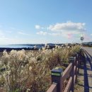 성산읍 신산포구 | (제주빌라) 성산읍 신산포구 인근 고급빌라 매매