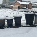 (주)비비비 이미지