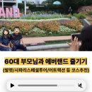 새들모텔 | 60대 부모님과 에버랜드 코스추천 꿀팁(+발렛, 사파리스페셜투어)