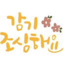 돌고래주유소 이미지