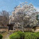 오미마을 이미지