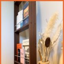 스테이 누누 이미지