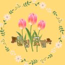 (주)드림팜 | 『D-51일차/드림팜솔루션』 로메인상추로 쌈 싸먹기♥ / 튤립, 백합, 프리지아 꽃말
