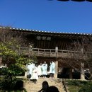 젠솔 이미지