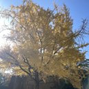 마곡사관광지 잔디광장 화장실 | 오사카성 산책 후기 ㅣ 오사카 관광지 덴마바시역