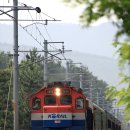 H4553 네이버블로그