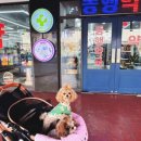 드럭스토어동행약국 이미지