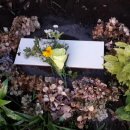 제주민박 이미지