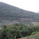 청용장여관 이미지