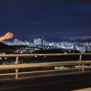 투엠컴퍼니 | 대구 명소 데이트 코스, 83타워(이월드,야경,분위기)대구 가볼만한 곳